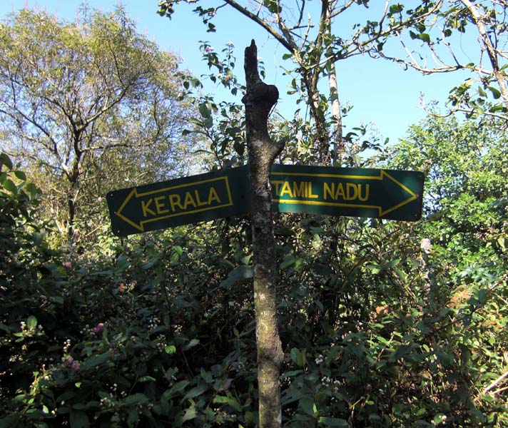 Kardamom-Hills